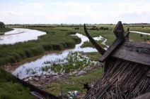 Izlet Zasavica na sat vremena od Beograda