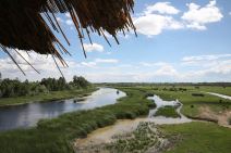 Zasavica - specijalni rezervat prirode - magareće mleko