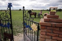 Zasavica - specijalni rezervat prirode - magareće mleko