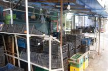 Sever Kosova - kamioni sa robom stigli sa juga pokrajine