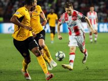 Crvena zvezda - Young Boys 1-1, Fotografije sa utakmice