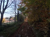 Šta posetiti u Srbiji - selo Rudno, Golija