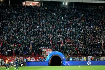 Crvena zvezda - Totenhem UŽIVO prenos Arena Sport i RTS livestream