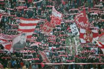 Zvezda - Čukarički uživo livestream Arena Sport Superliga sportske vesti