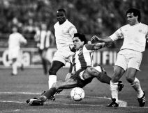 Crvena zvezda, jubilej 75. godina, fotografije.