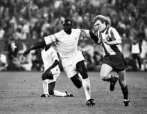 Crvena zvezda, jubilej 75. godina, fotografije.