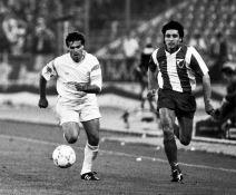 Crvena zvezda, jubilej 75. godina, fotografije.