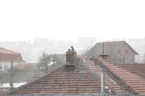 Zagađenje vazduha u Beogradu: Duva košava, saobraćaja nema, evo kako!