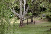 Korona virus: 1. maj - Prazna izletišta širom Srbije zbog policijskog časa FOTOGRAFIJE