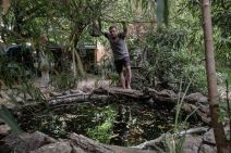 Dušan Džakić vrt koji podseća na džunglu usred Zemuna FOTOGRAFIJE