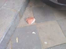 Beograd- Protesti - Povređeni - Policija - Građani - Sukobi - Suzavac - Video 