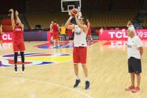 Miroslav Muta Nikolić o Svetislavu Pešiću