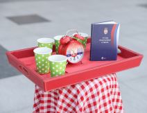 Neregularni izbori, povređen ustav, performans ispred Palate pravde, fotografije