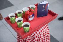 Neregularni izbori, povređen ustav, performans ispred Palate pravde, fotografije