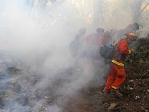 kalifornija požar stradali žrtve kanada pomoć