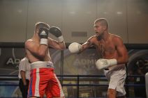 Veljko Ražnatović o porodici