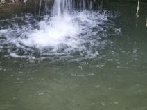 Zapadna Srbija vodopad reka Petnica pećina Potpeć priroda