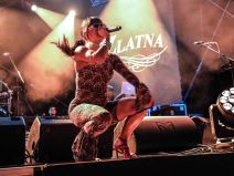 Izbor za predstavnika na Pesmi Evrovizije - učesnici