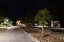 Palme Beograd Kalemegdan Cvijeta Zuzorić fotografije