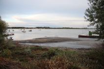 Zemunski kej fekalije dunav kanalizacija smrad fotografije