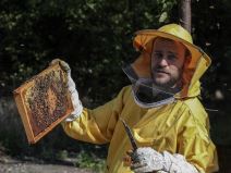 Pčelarstvo pčele u Beogradu med košnice na Dorćolu