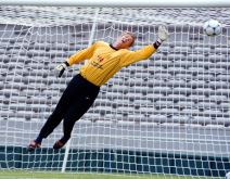 Edvin van der Sar moždani udar žena Anemari