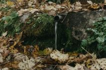 bobija ljubovija azbukovica