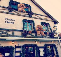 kafic gardos medvedi beograd korona virus dekoracija kafici