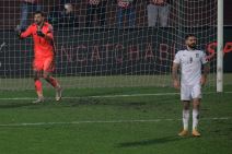 slavisa kokeza arsen venger reprezentacija srbija selektor tumbakovic