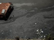 ada ciganlija rukavac smrad ciscenje srbija vode