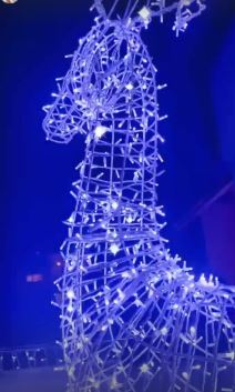 jelena karleusa nova godina ukrasi u kuci pevacica pokazala kako je okitila jelku i dvoriste foto