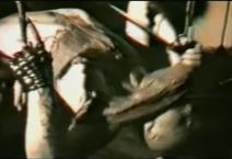 satan panonski biografija ivica culjak nastupi rezanje ziletom ubistvo foto video