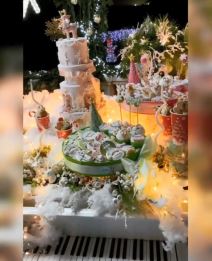 jelena karleusa nova godina jelka stan dekoracija foto