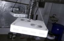 uhapsen diler u beogradu laboratorija droge