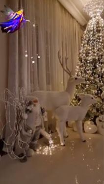 marta savic mile kitic luskuzna kuca jelka novogodisnja dekoracija