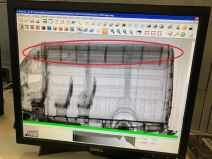 carinski pas neron kelebija zaplena