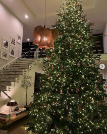 kajli dzenr avion instagram foto