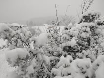 pester sjenica sneg blokada sela putevi 