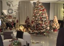 Koju školu je završio Željko Mitrović?