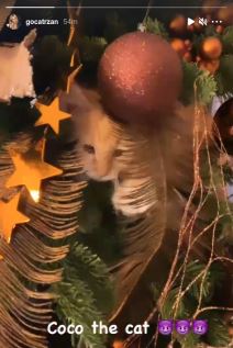 Izbor za predstavnika na Pesmi Evrovizije - učesnici