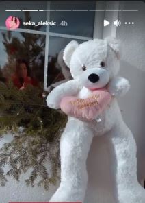 seka aleksic kao tinejdzerka slika iz mladosti