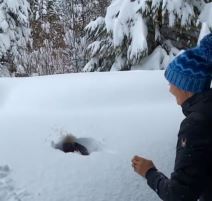 beba u snegu video instagram 