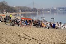 predrag kon korona virus rts intervju