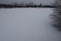 rusija kremlj izmailovo zima dvorac fotografije