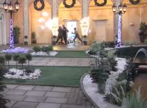 zadruga filip car cvele tuca kazna mesecni honorar