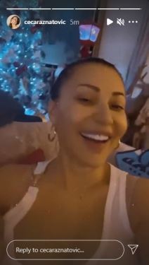 ceca raznatovic unuk zeljko bozic slike 