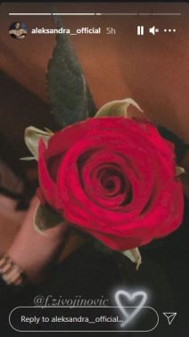 aleksandra prijovic filip zivojinovic zlatibor odmor sin aleksandar