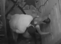 nadezda biljic toma panic zadruga  seks video