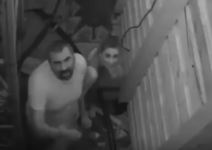 nadezda biljic toma panic zadruga  seks video