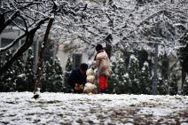 beograd sneg vremenska prognoza padavine zima